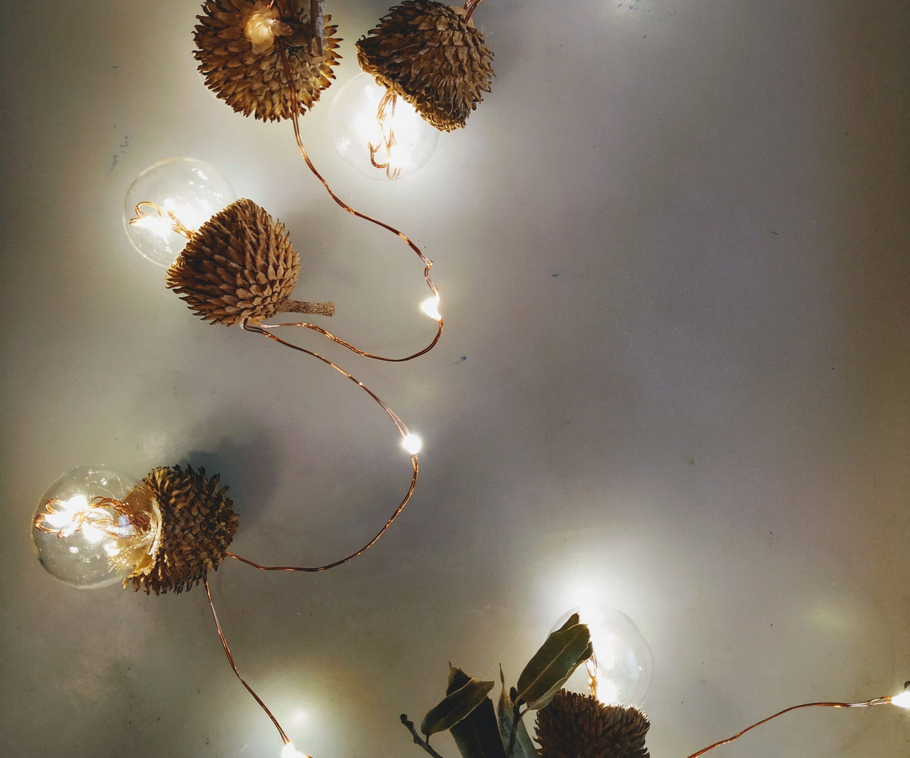 Tiny Acorn Light Bulbs!!!