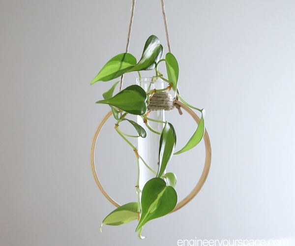 DIY Test Tube Plant Propagation Station - Mother's Day Gift