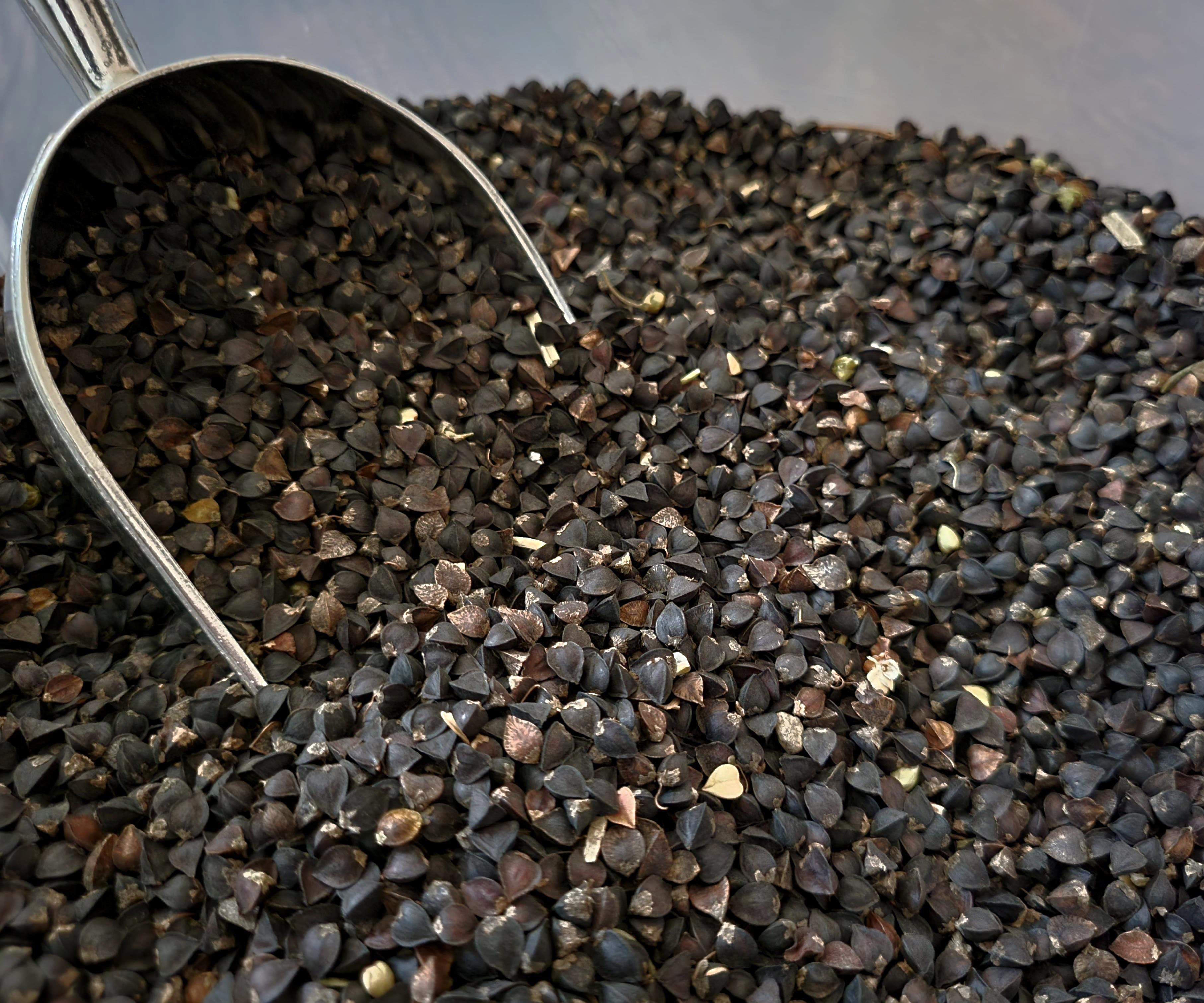 How to Make Gluten-Free Buckwheat Flour