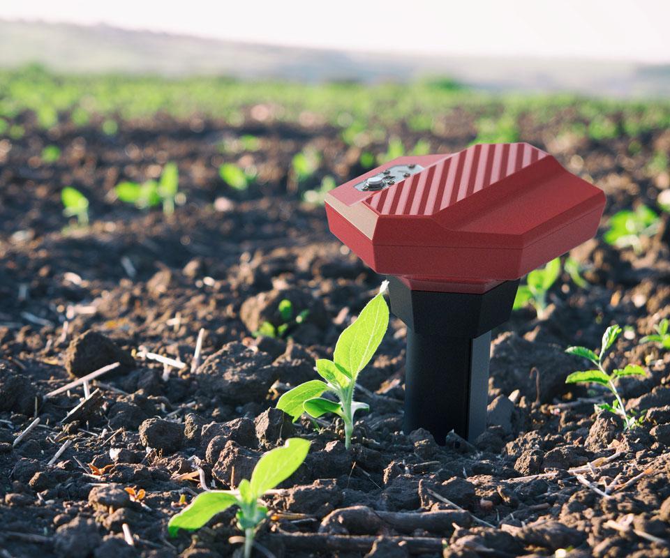 INTERFACING SOIL MOISTURE SENSOR USING BHARAT PI