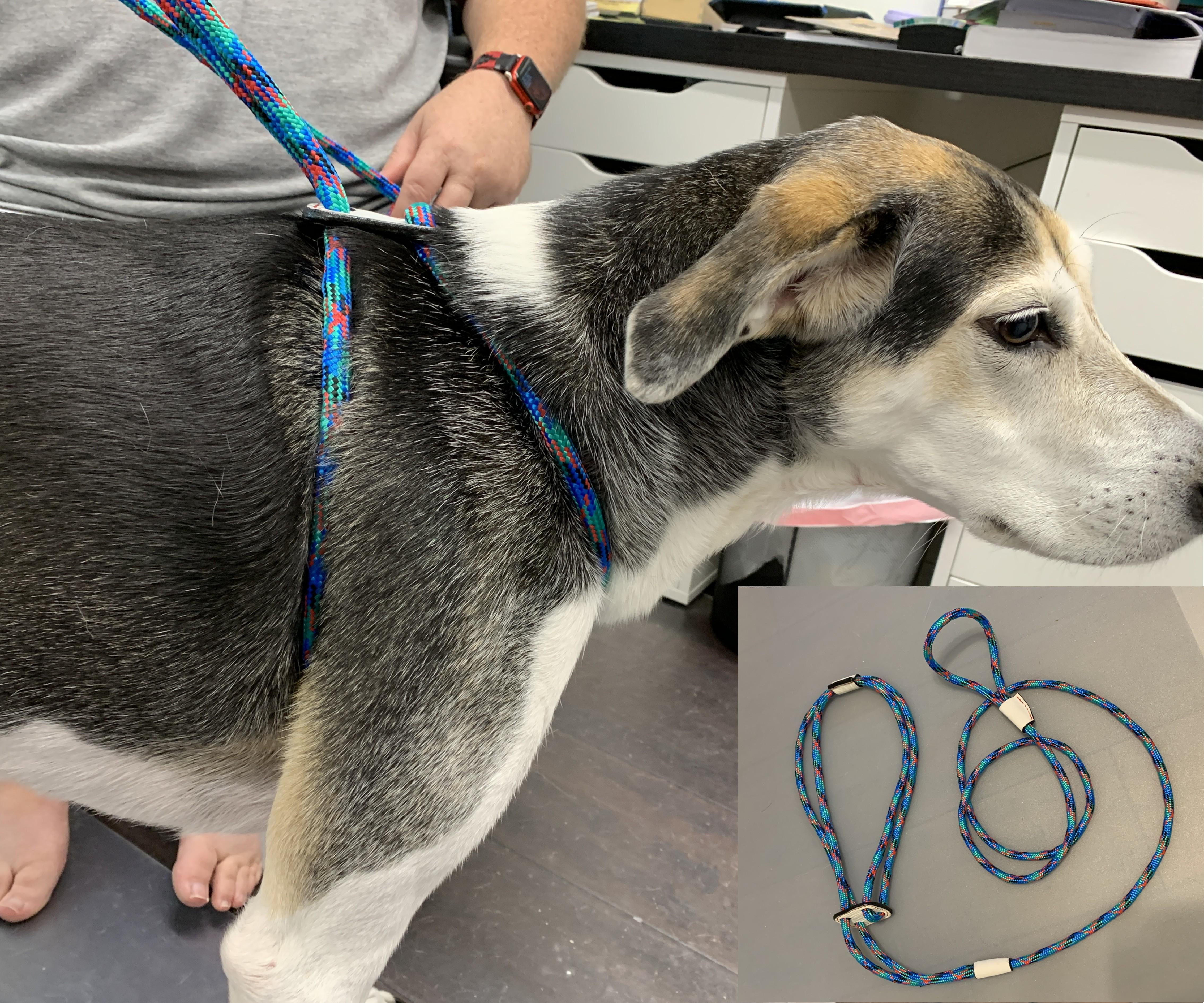 DIY Escape Proof Dog Harness-Leash