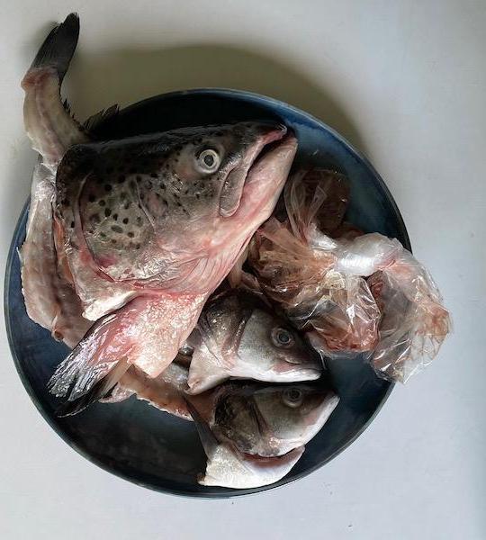 Make Fish Fertilizer and Sauerkraut