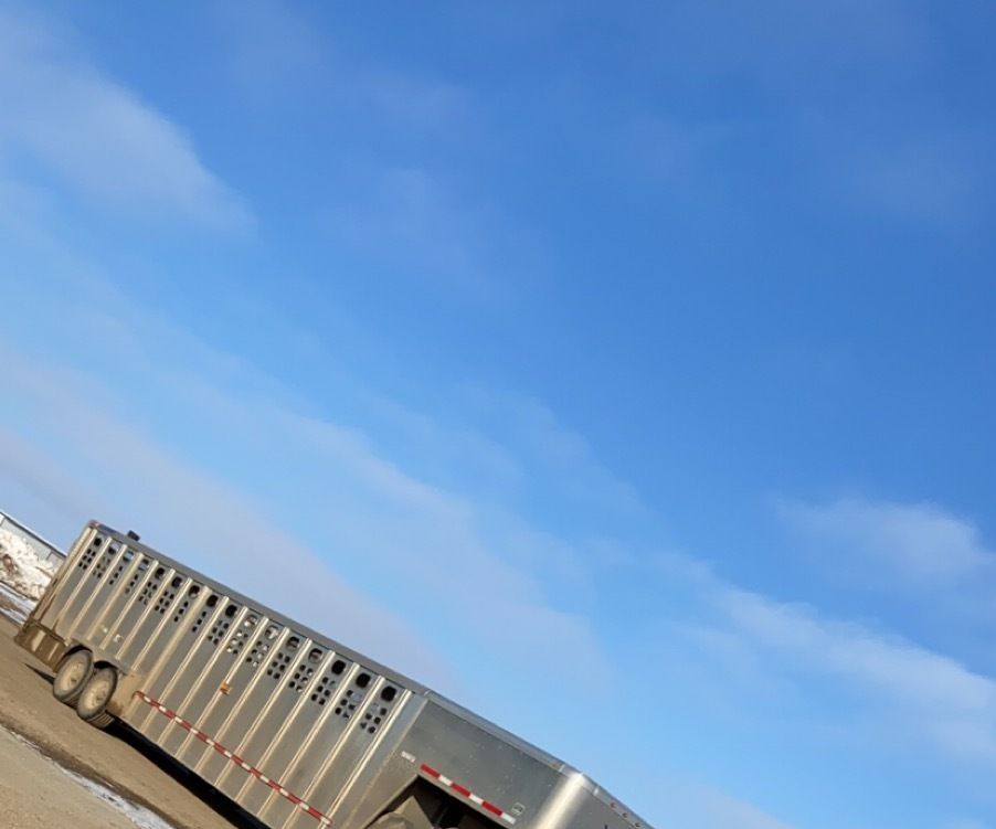 How to Change a Door Handle 