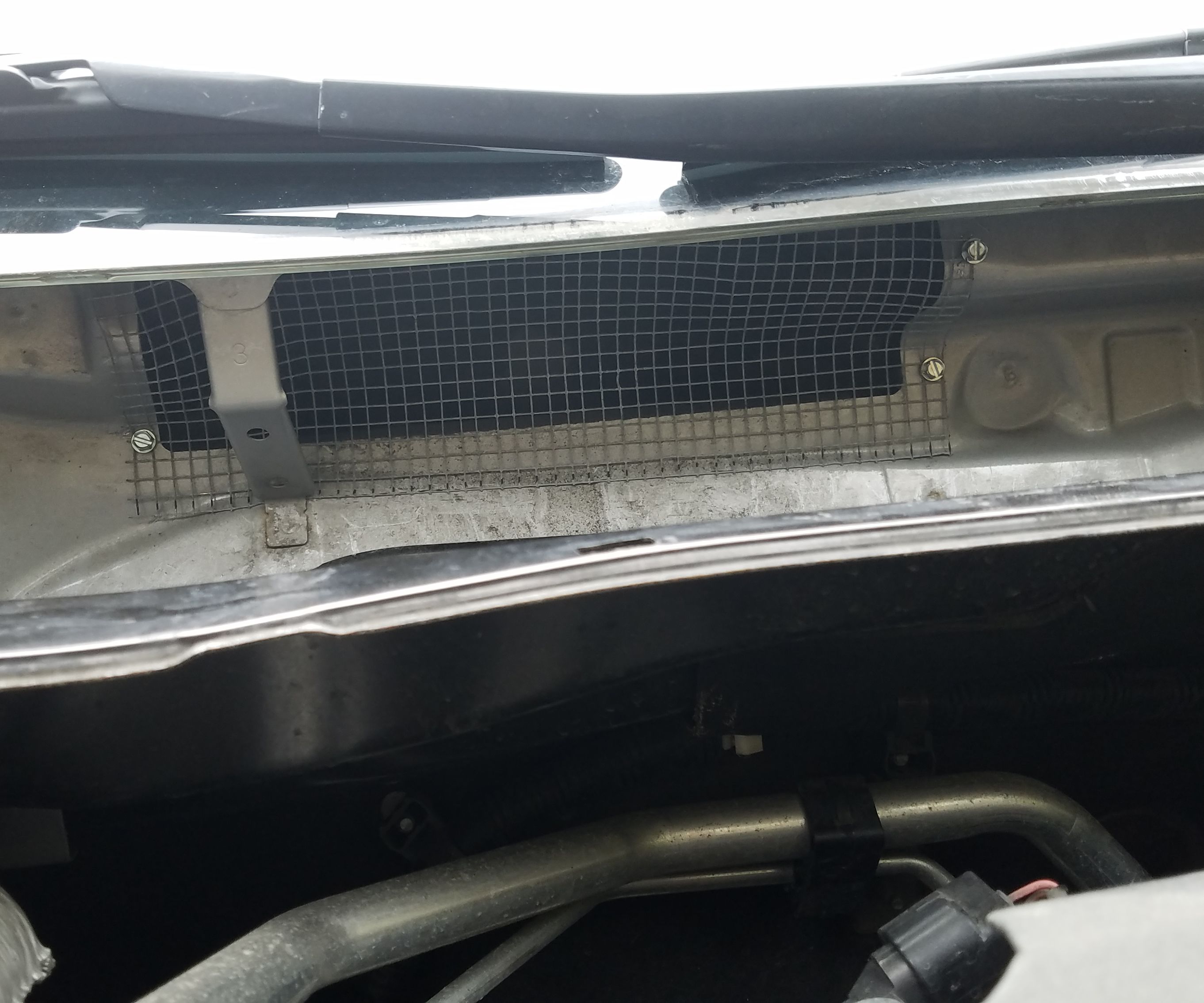 Mouse-Proofing a Toyota Corolla