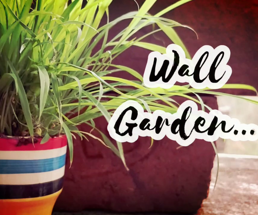 DIY Wall Garden From Broken Bricks