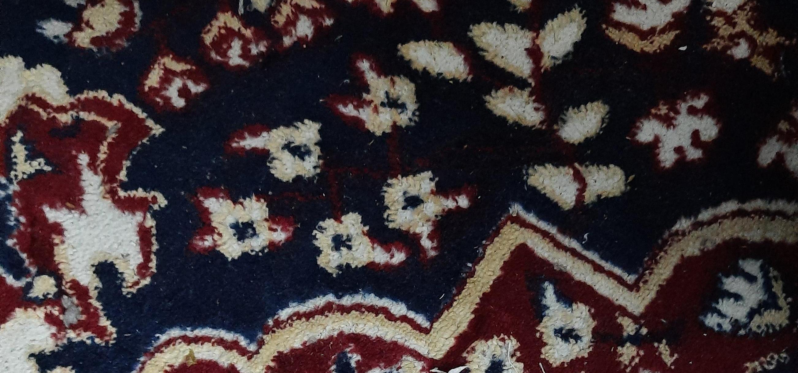 Origami Salt Creek Tiger Beetle