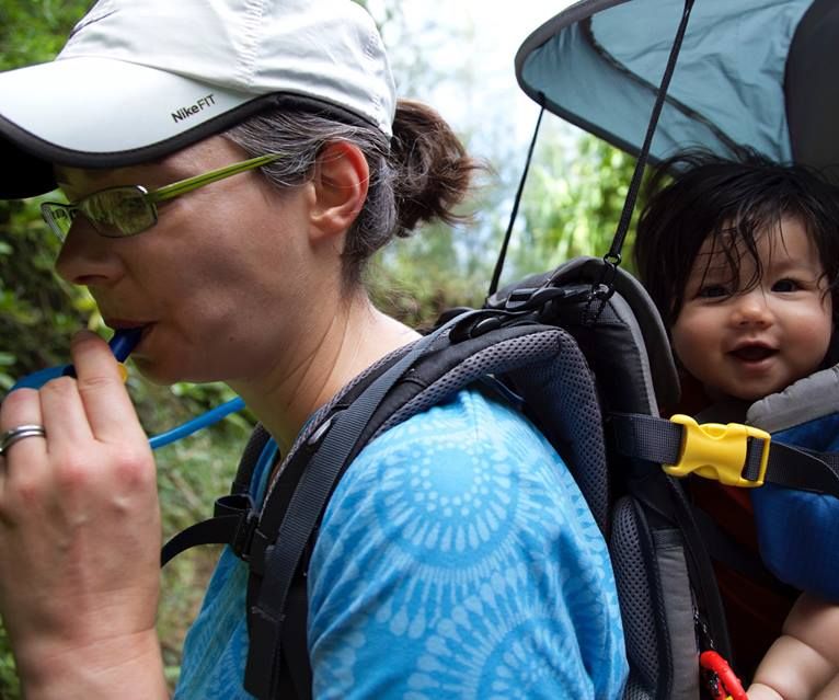 How to Never Eat Crappy Freeze-dried Backpacking Meals Again (Or: How to Dehydrate Your Own Backpacking Food)