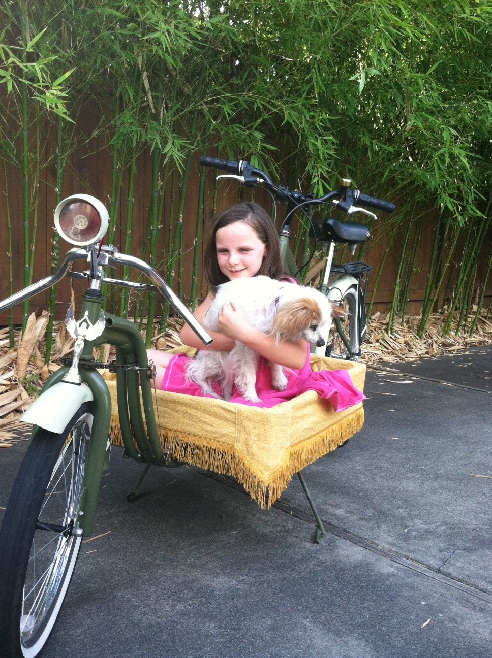 You Don't Need a Car, Just the Right Bike.