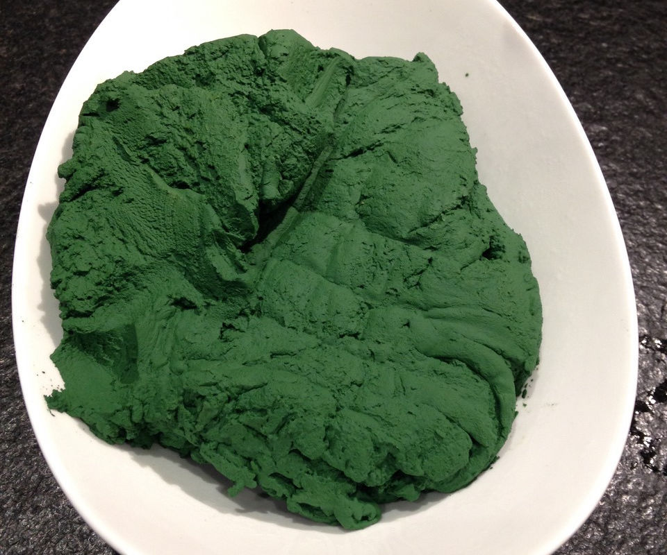 Homemade Low-tech Organic Spirulina Culture