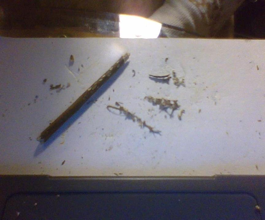 Mini Flute For Models