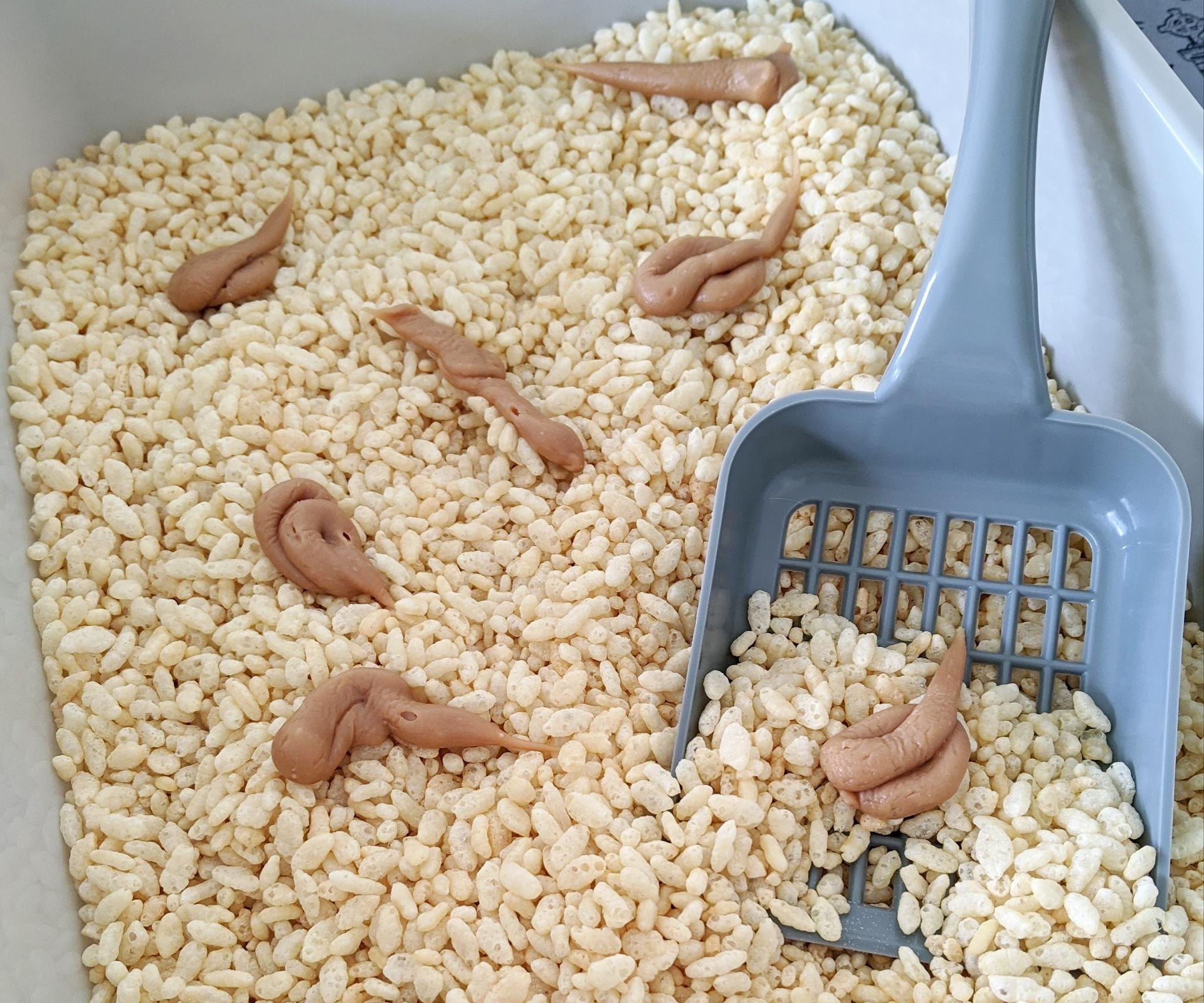 Easy Litter Tray Fudge!