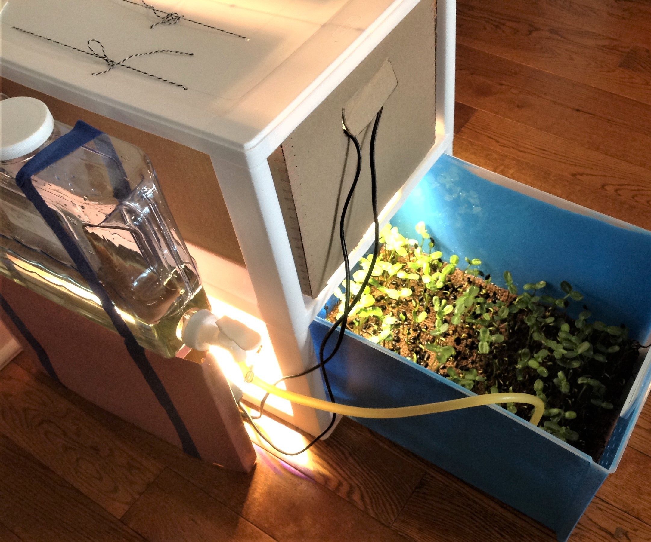 Growing Cube With Drawer for Spacecraft - Year-Round Indoor Salad Gardening( Stage III)