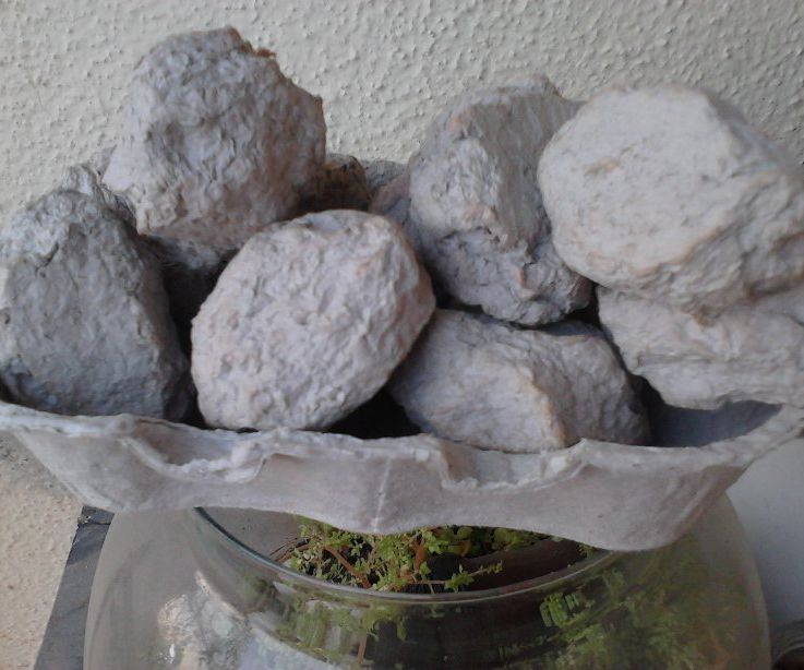 Recycle Egg Cartons Into Fire Starter