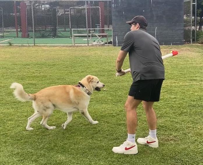 Far-Reaching Tennis Ball Thrower