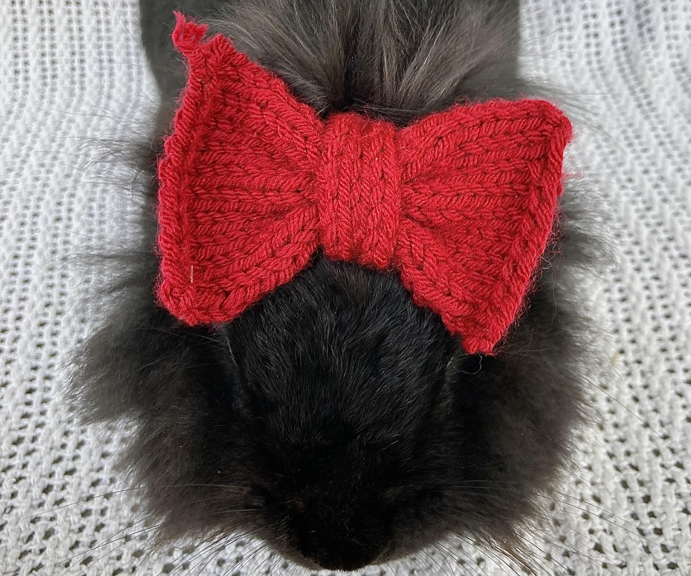 A Basic Guide to Bunny Hats