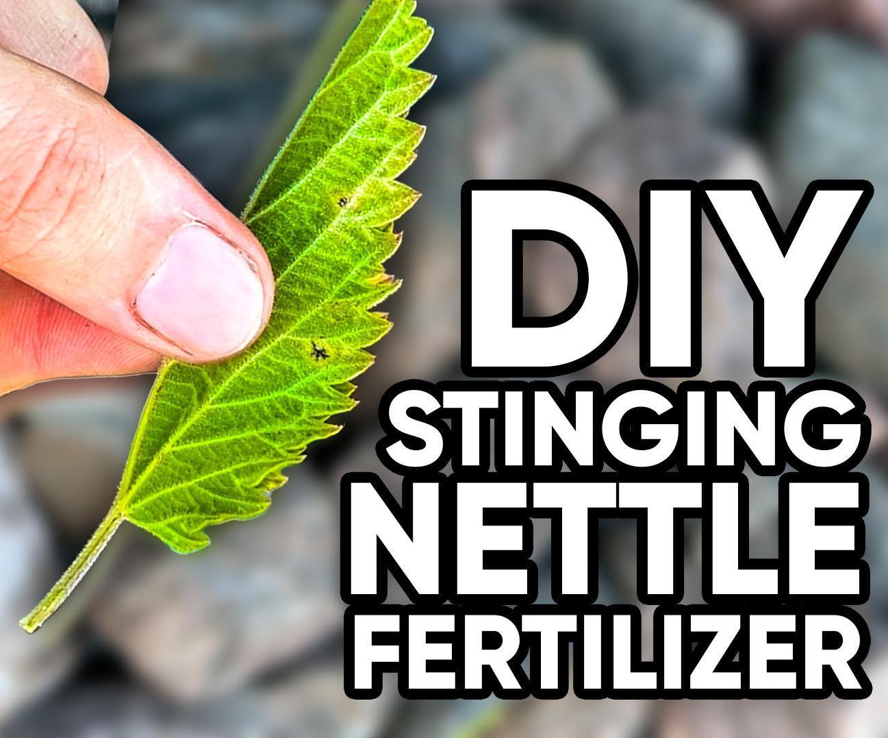 How to Turn Stinging Nettles Into Fertilizer