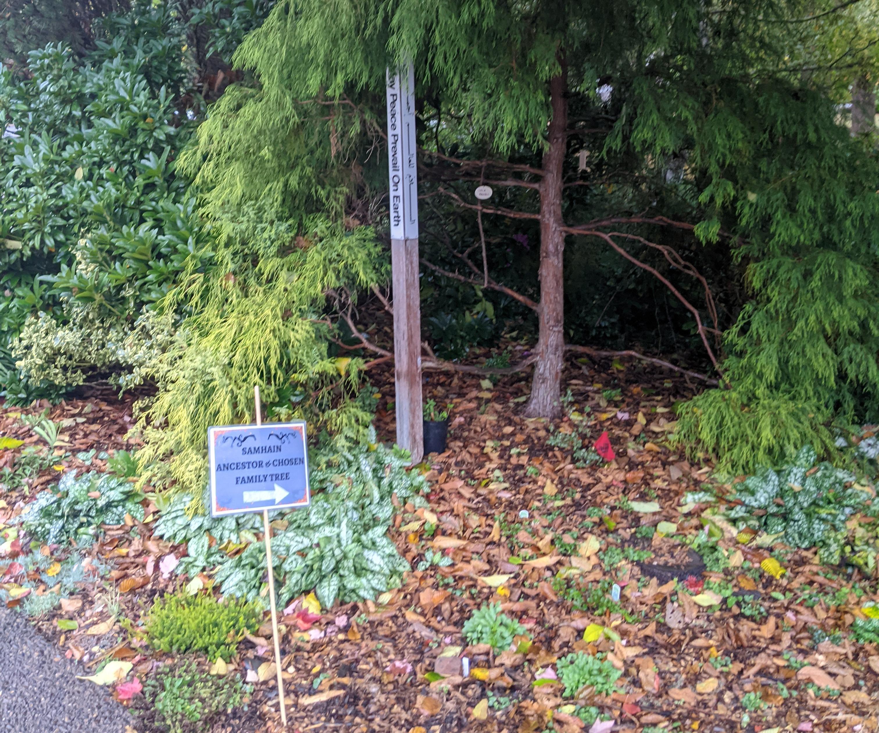 Ancestor & Chosen Family Tree