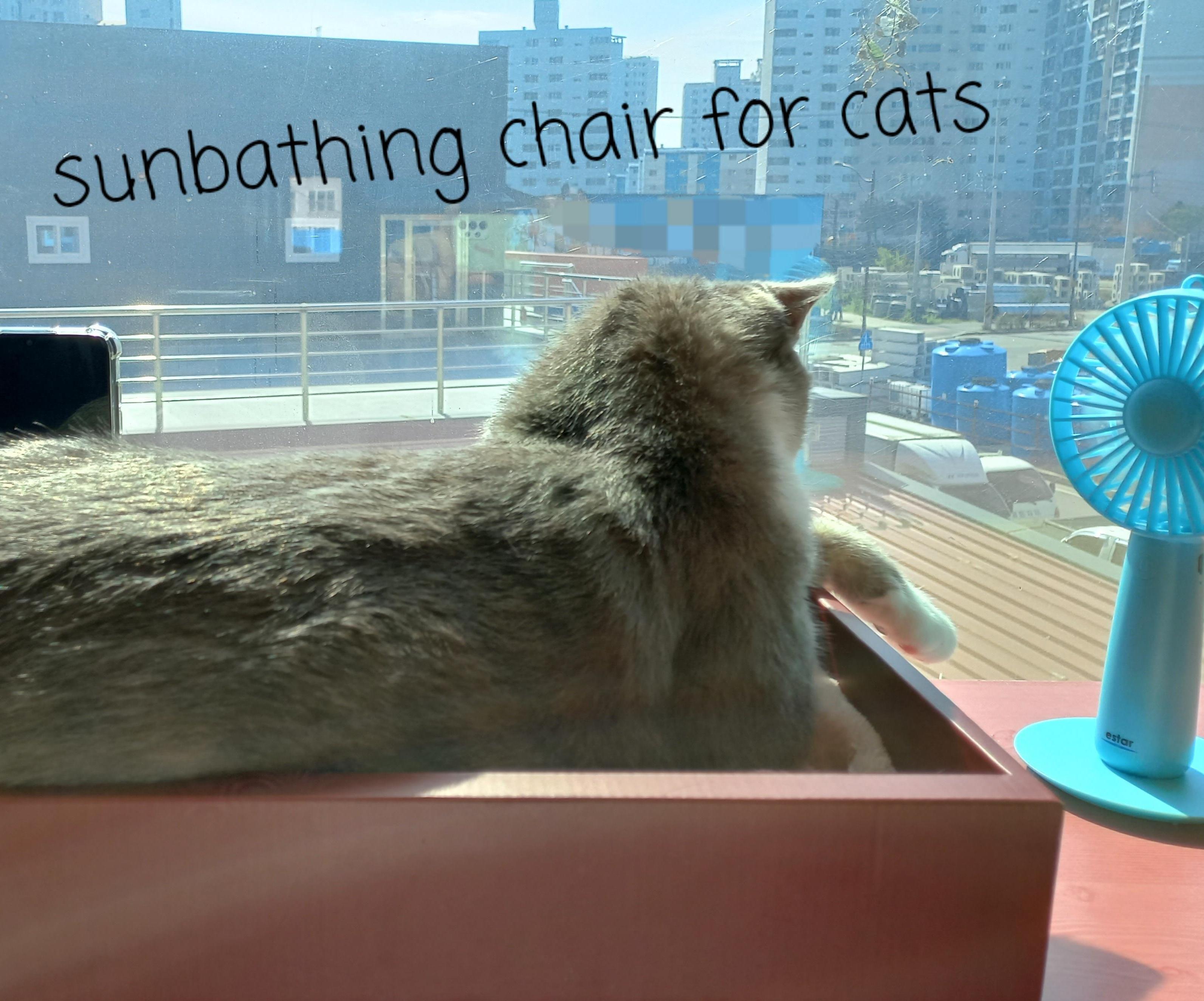 Easy Sunbathing Chair for Cats