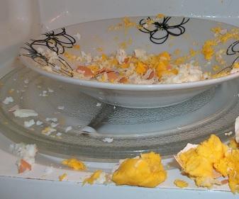 Egg in a Microwave