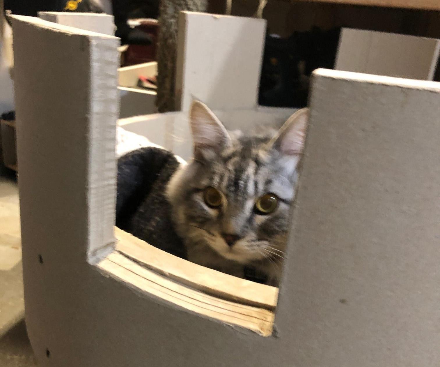 Elium Castle, the Castle Home of Eli the Magnificent