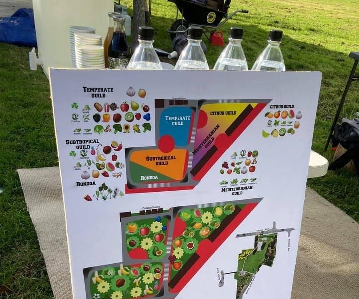 Mapping Out a Community Food Forest.