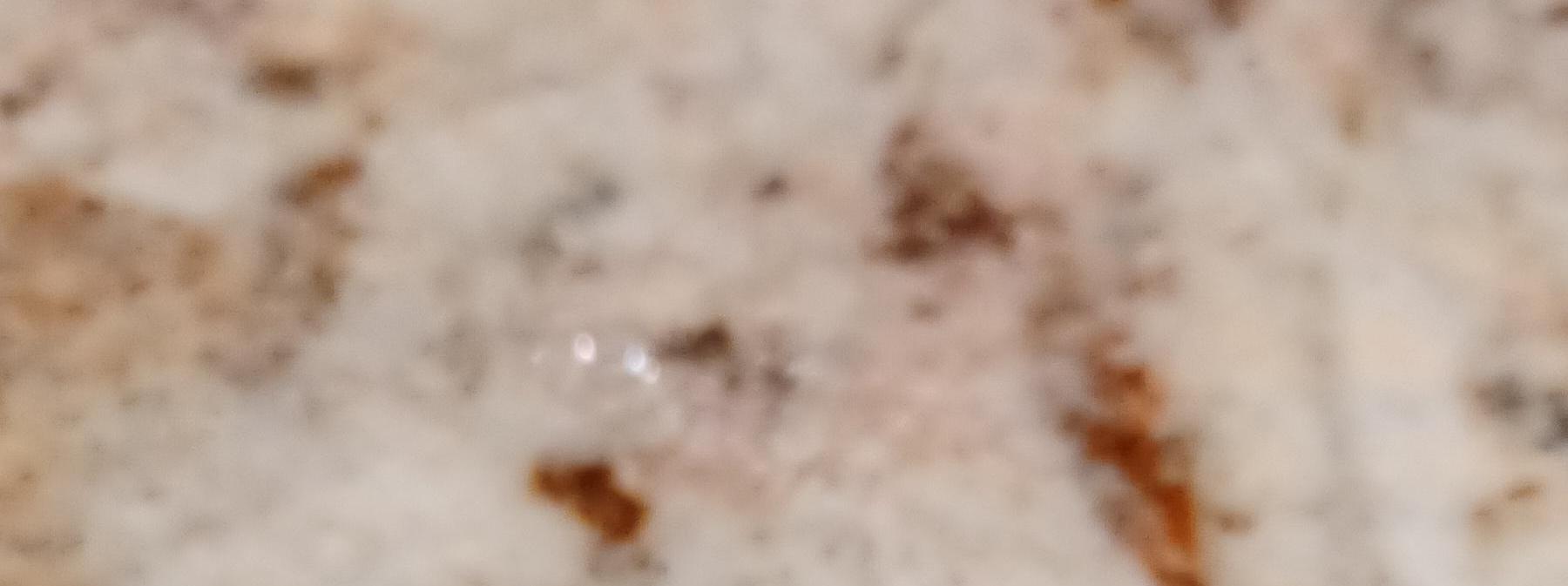 Tiny Real Edible Pizza