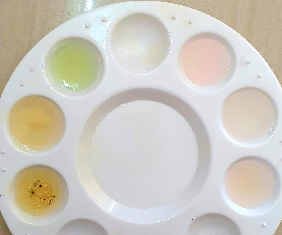 Onion Natural PH Indicator