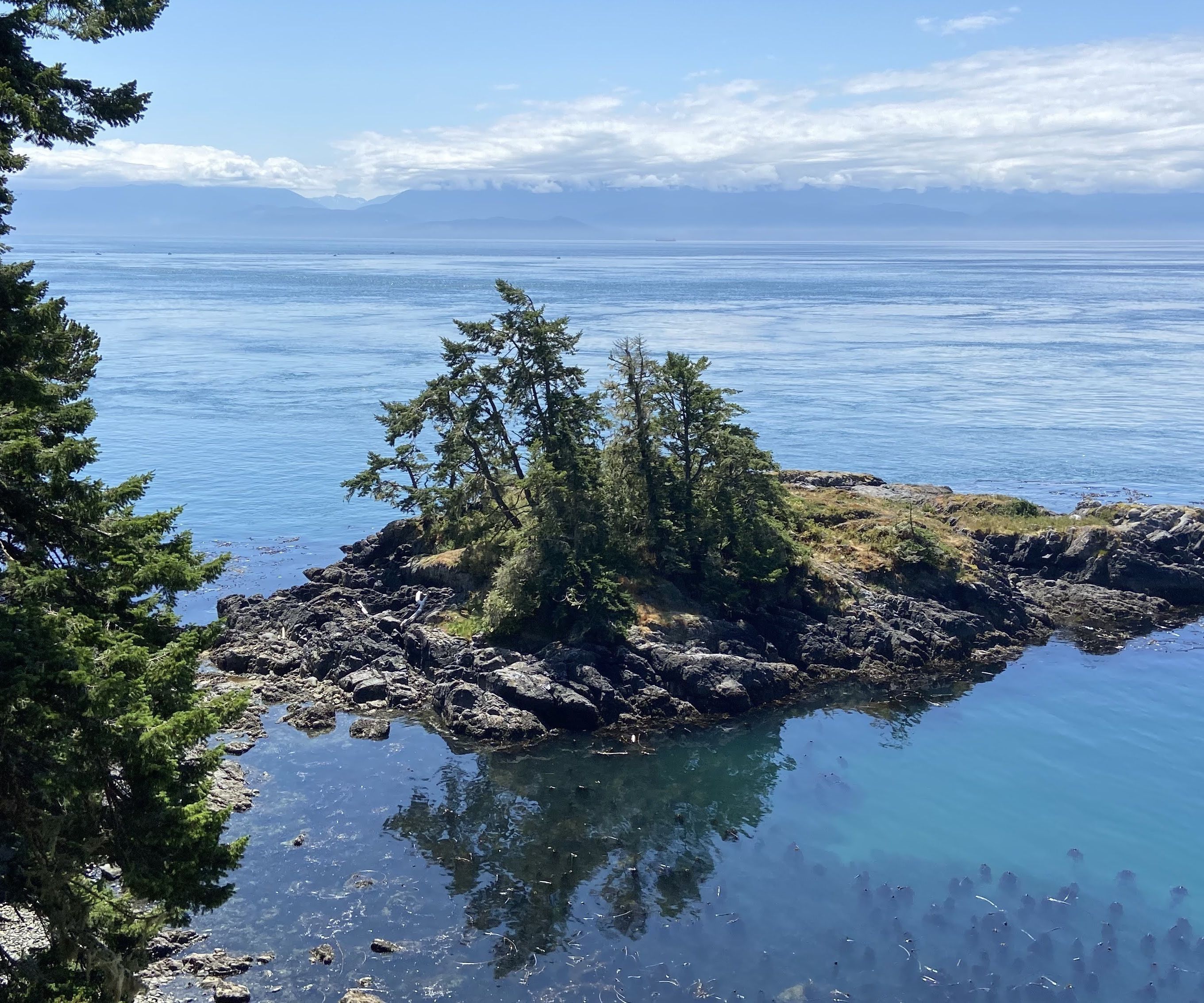 Relive Your Hikes and Rides in Style