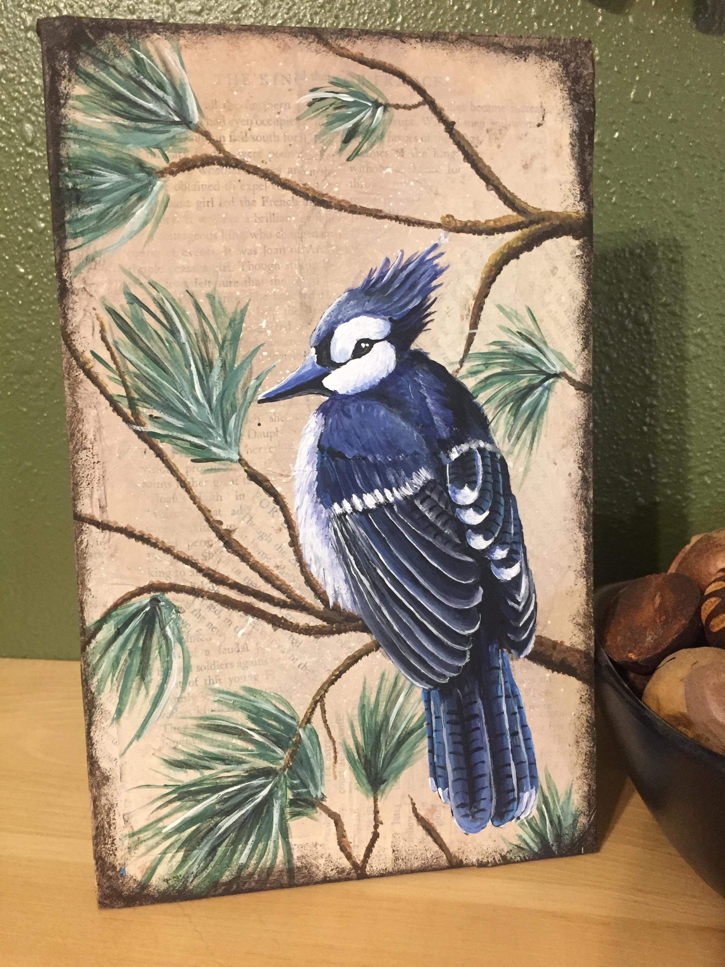 How to Paint a Blue Jay on a Branch.