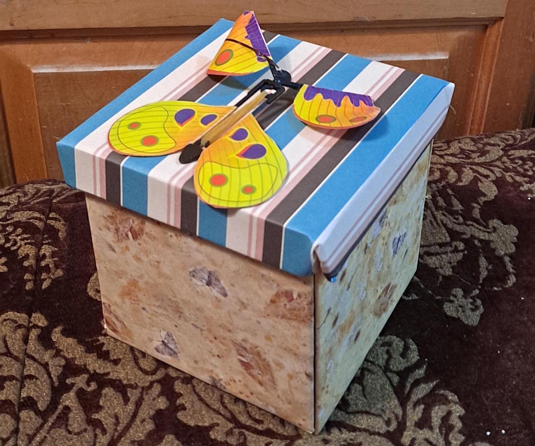 Butterfly Explosion Box