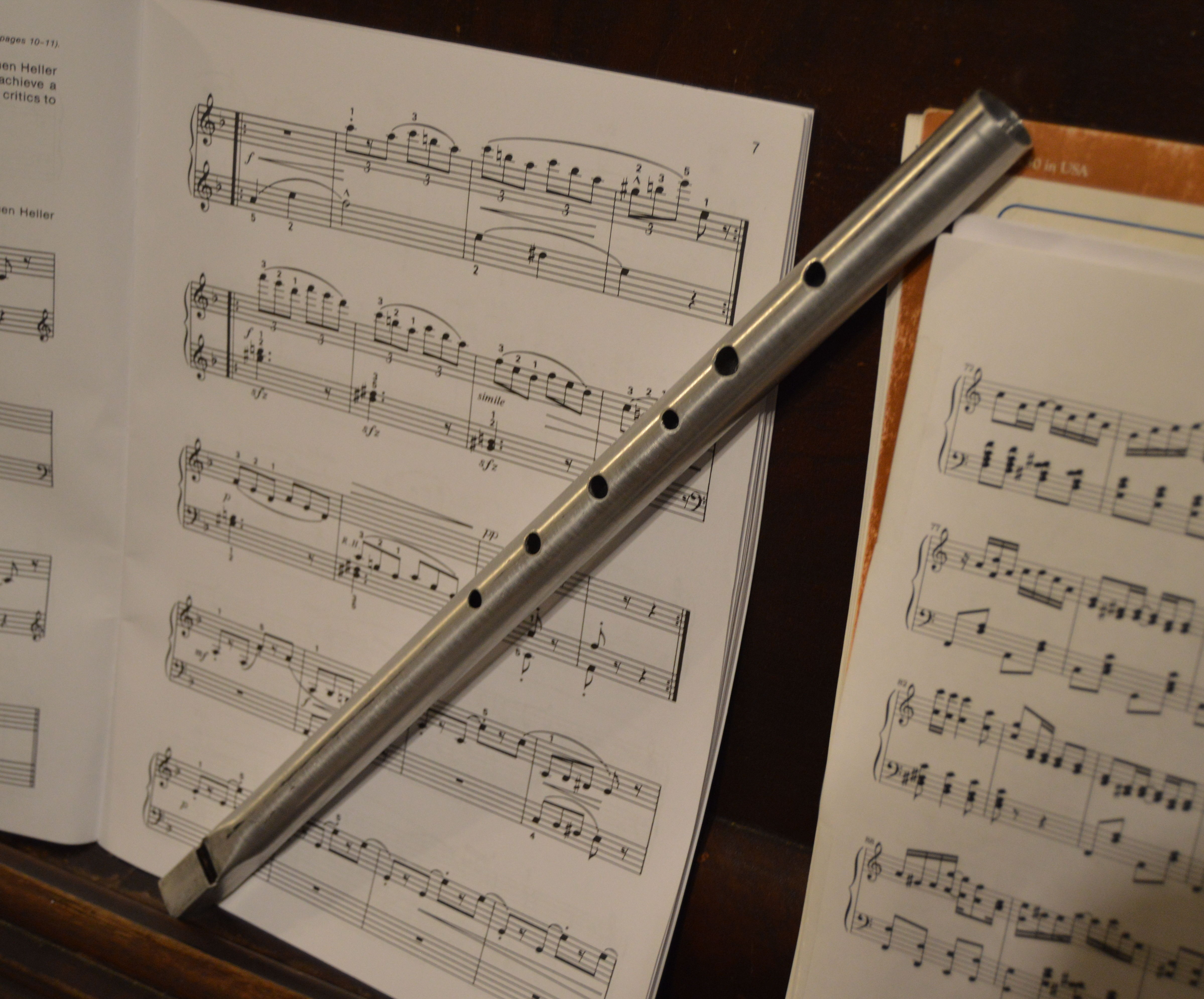 Penny Whistle From an Old Mop