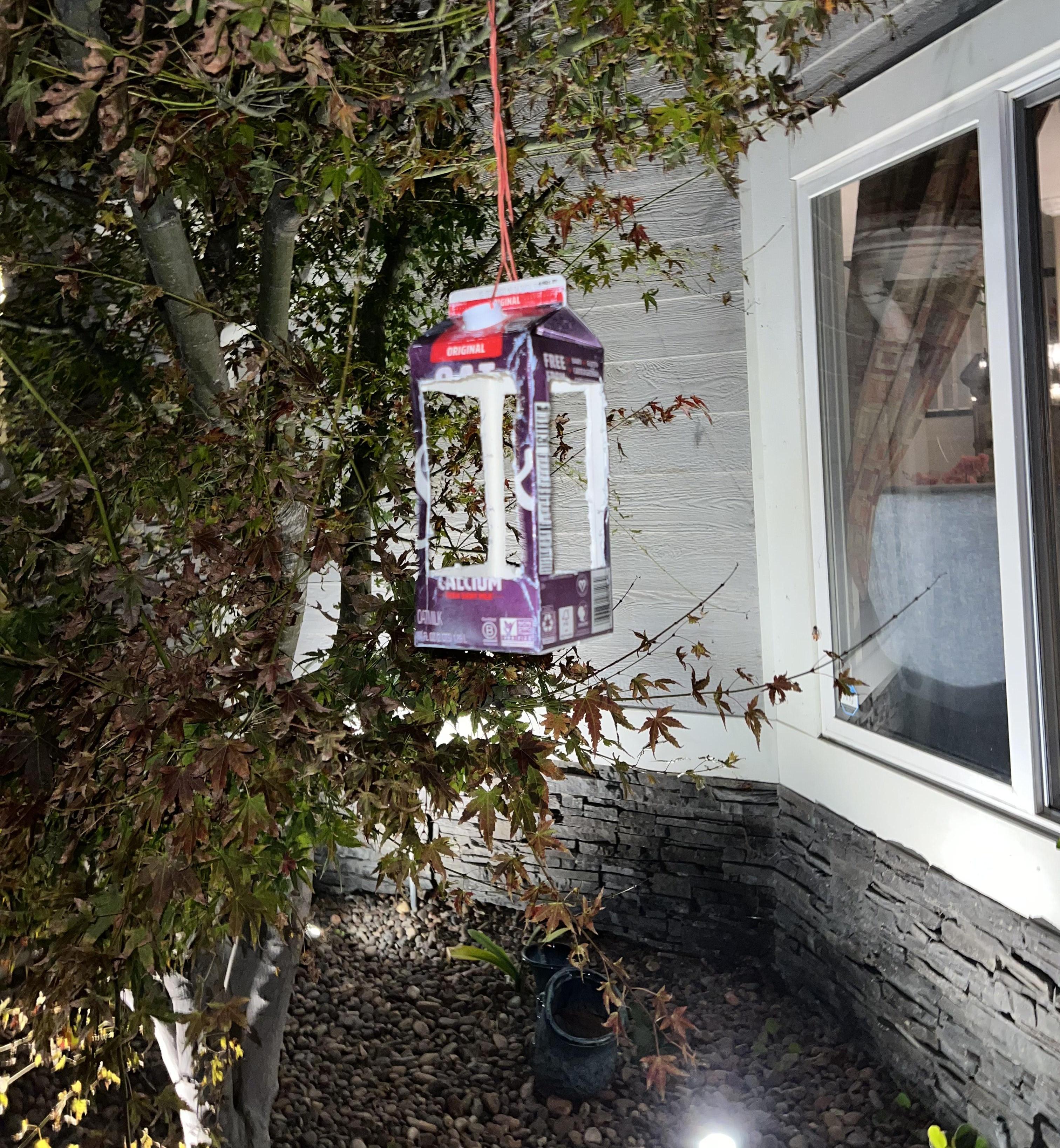 Milk Carton to Simple Bird Feeder
