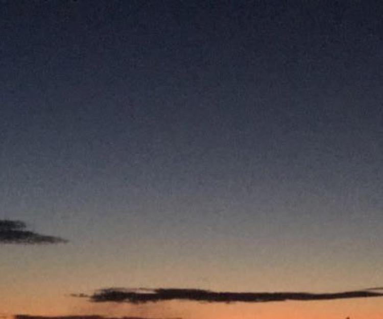 How to Waterfowl Hunt