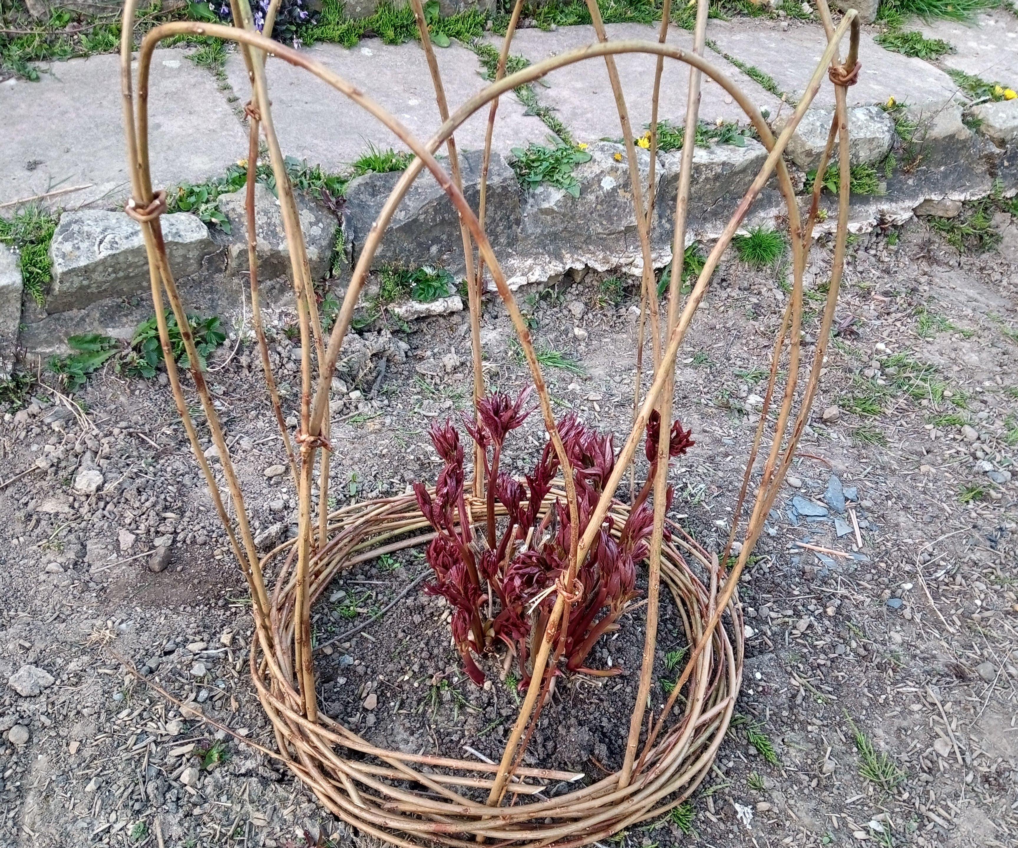 Willow Flower Support