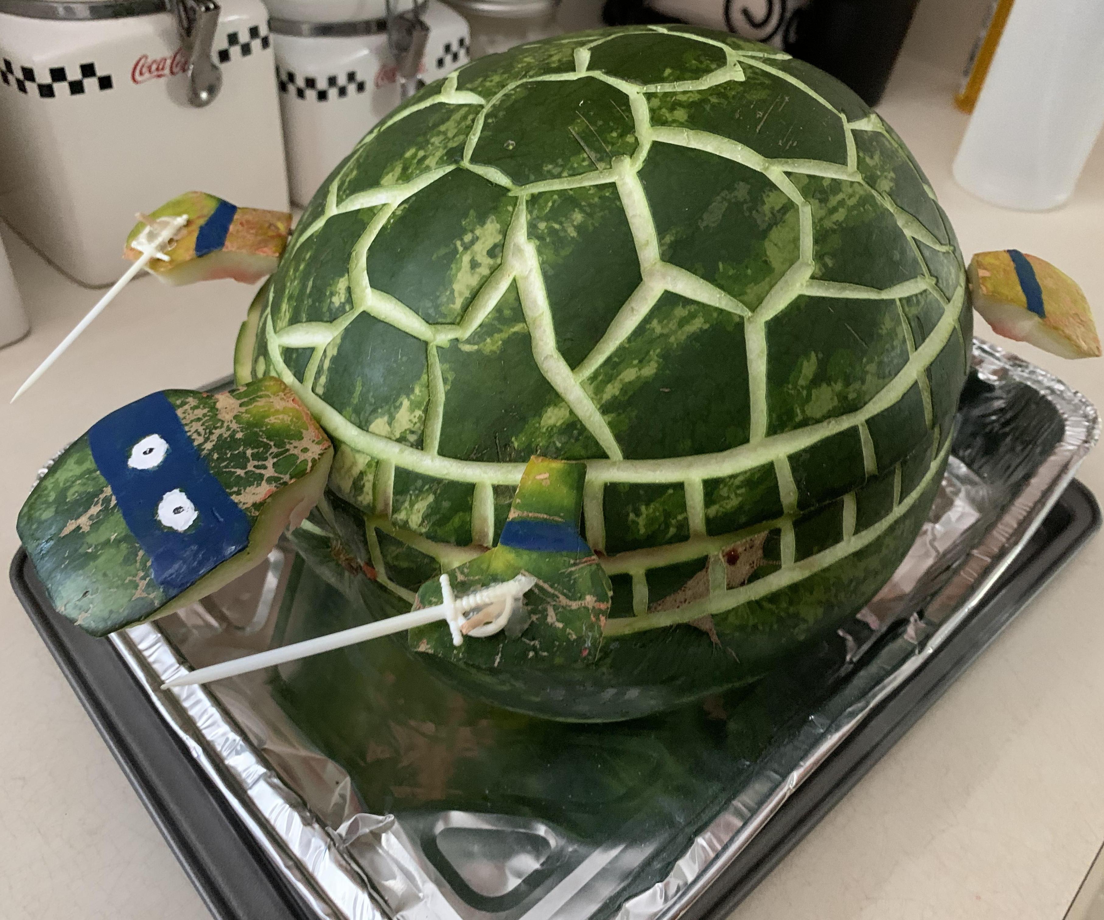 TMNT Watermelon Turtle