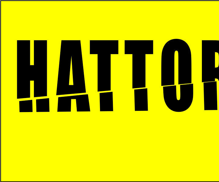 HATTORI HANZO NECKLACE.