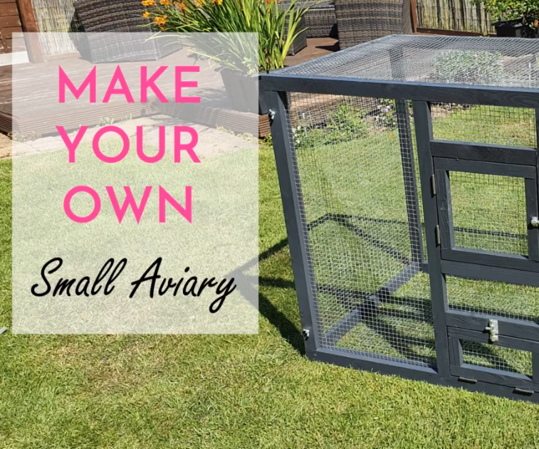 DIY Small Aviary