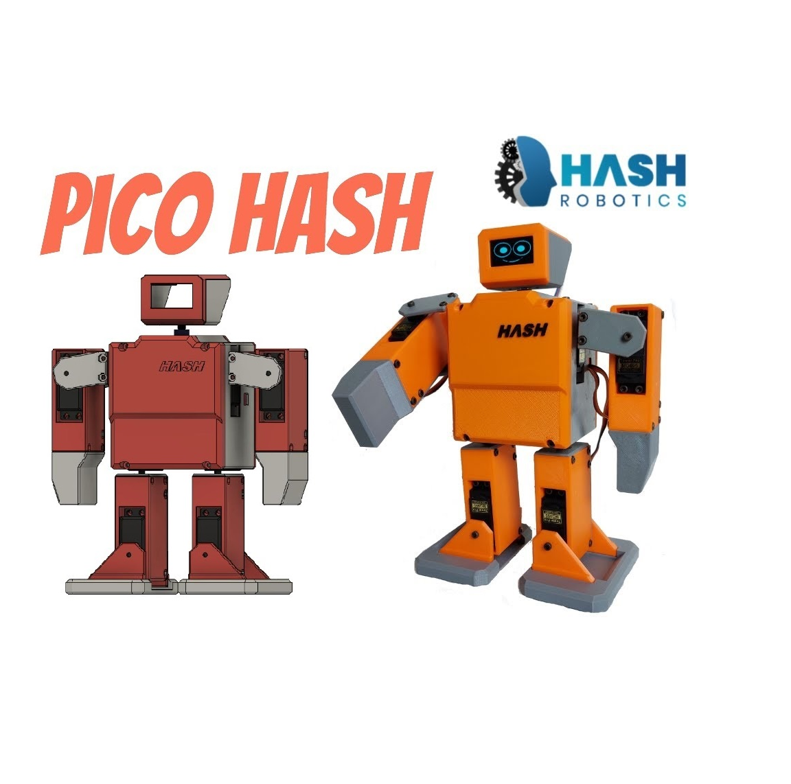 Pico Hash - Mini Humanoid Robot