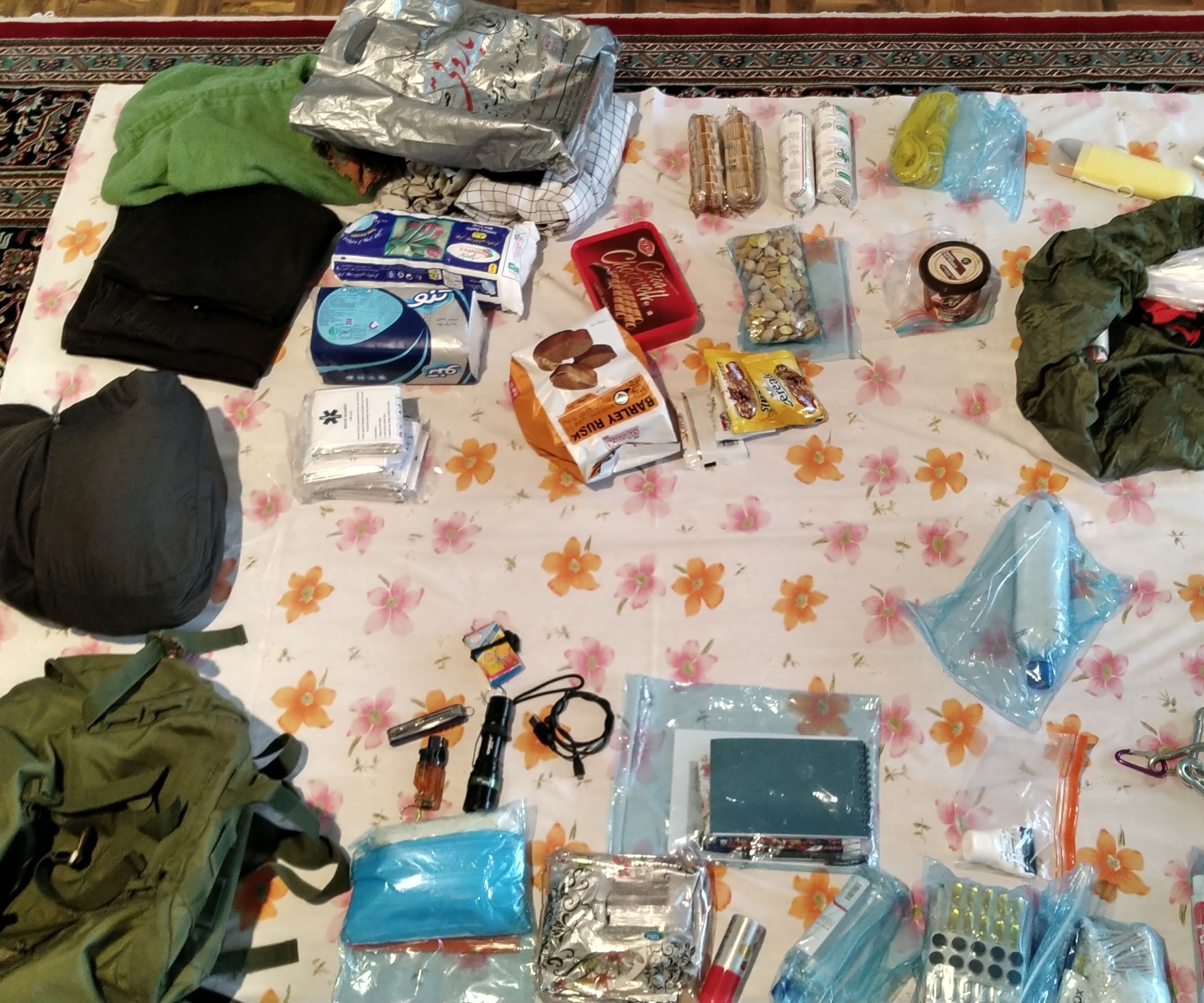 Survive Backpack - کوله بقا