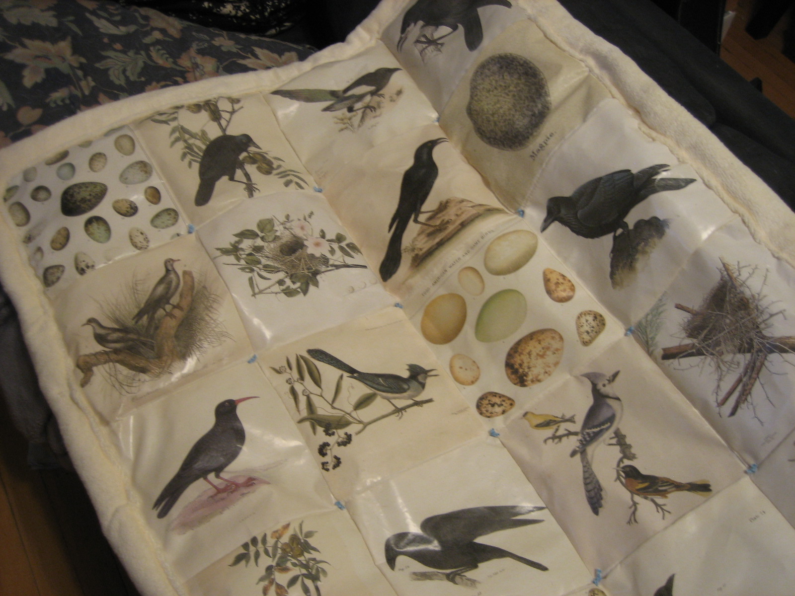 Super Special Baby Quilt