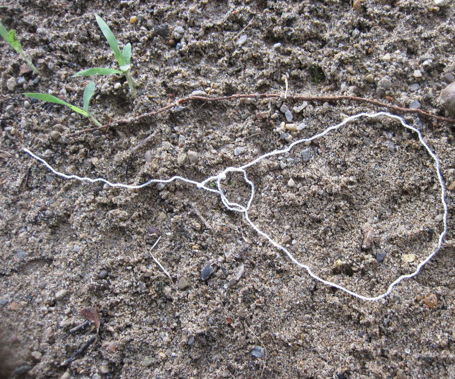 Making a Snare From Paracord