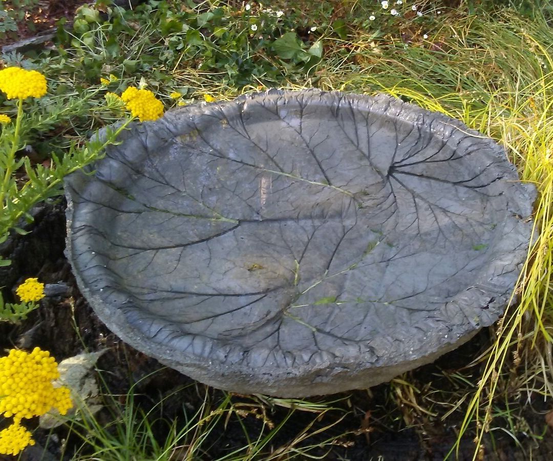 Rhubarb Leaf Birdbath