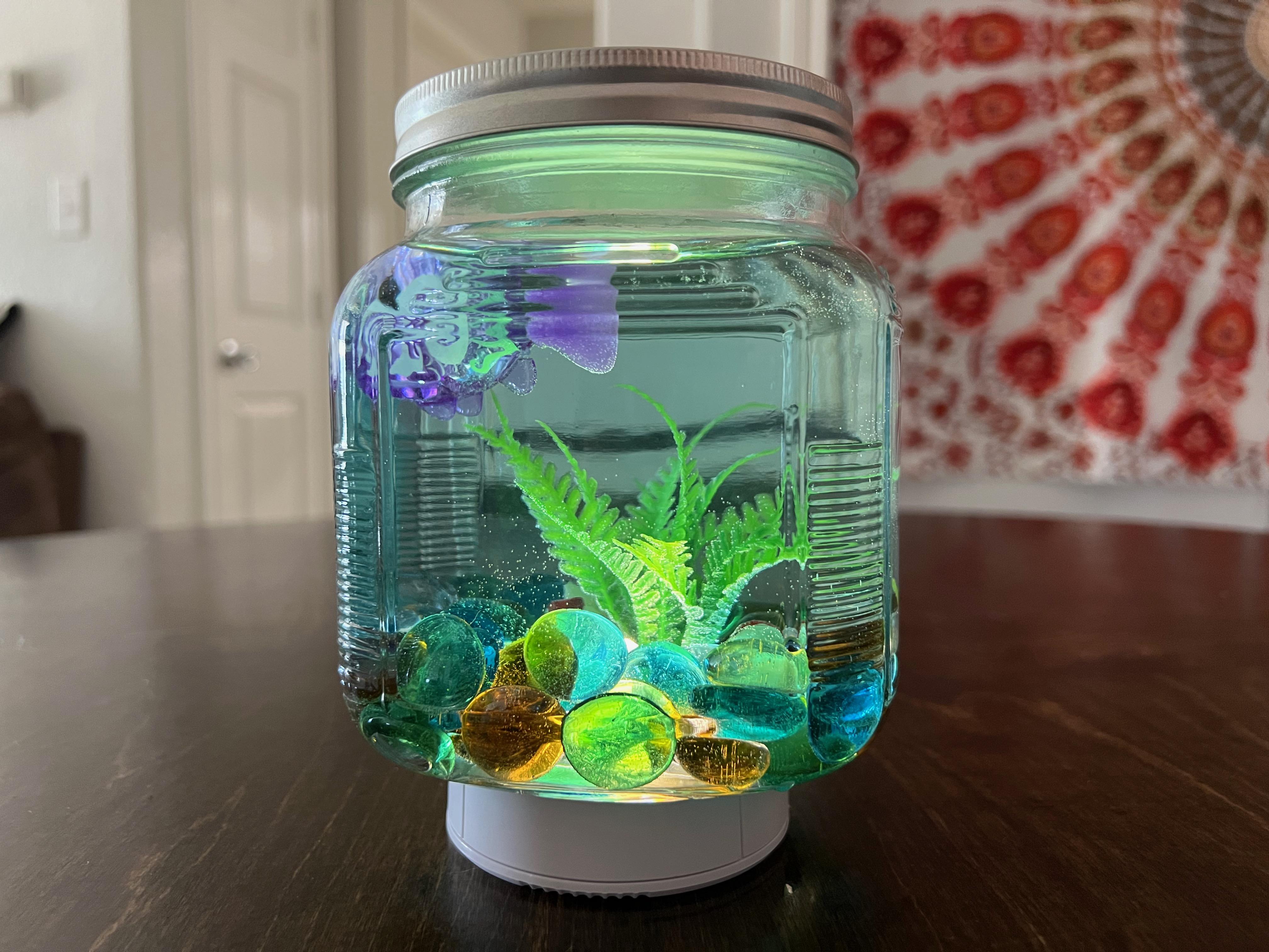 Homemade, Mini Aquatic Terrarium 