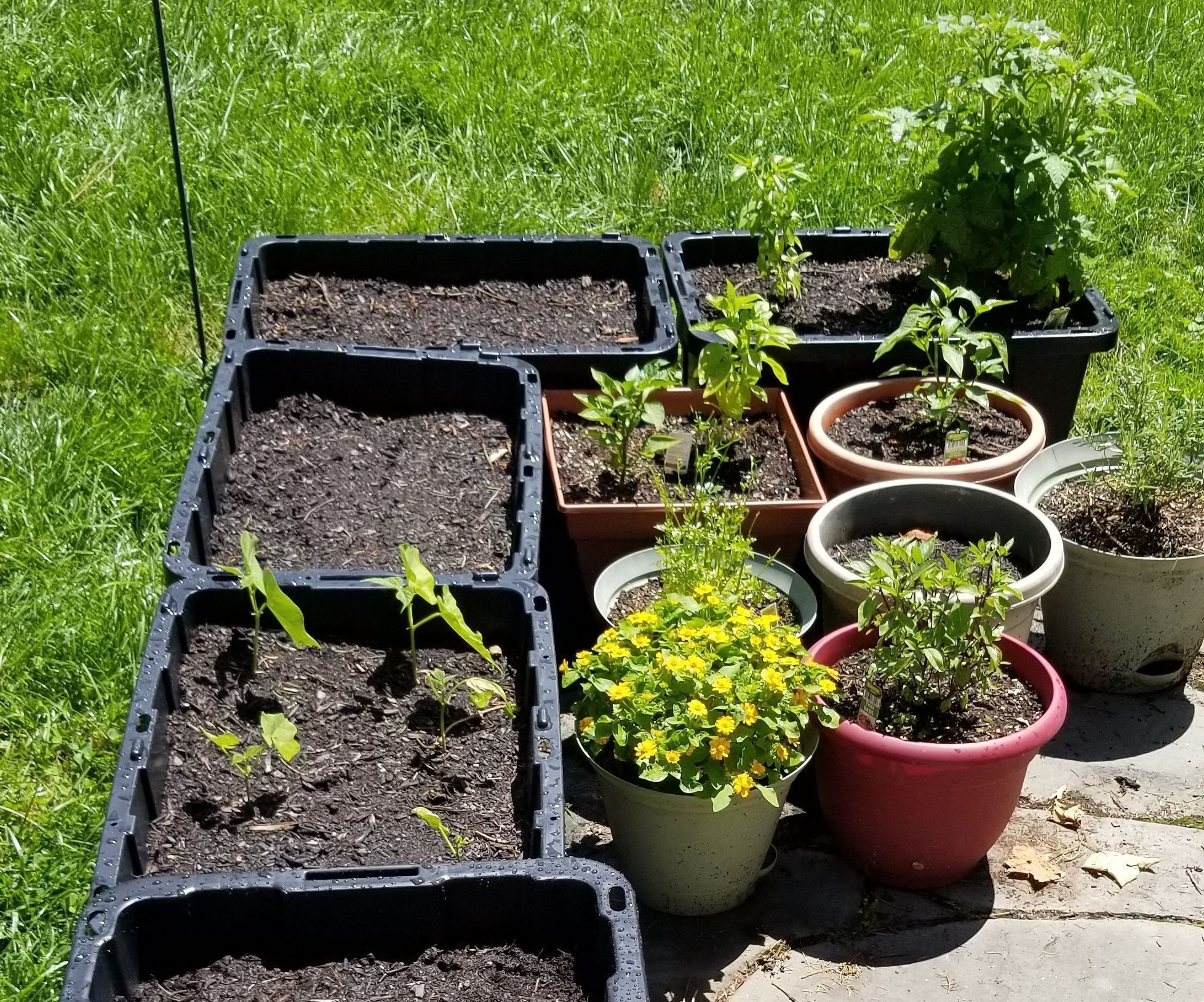 Easy Raised Garden Bed
