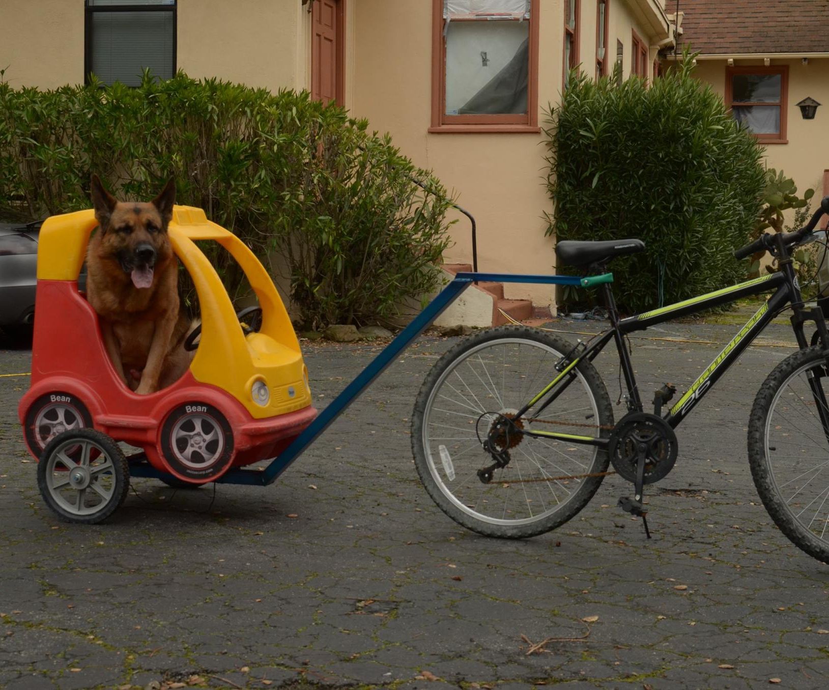 Bike Trailer for Towing Adults