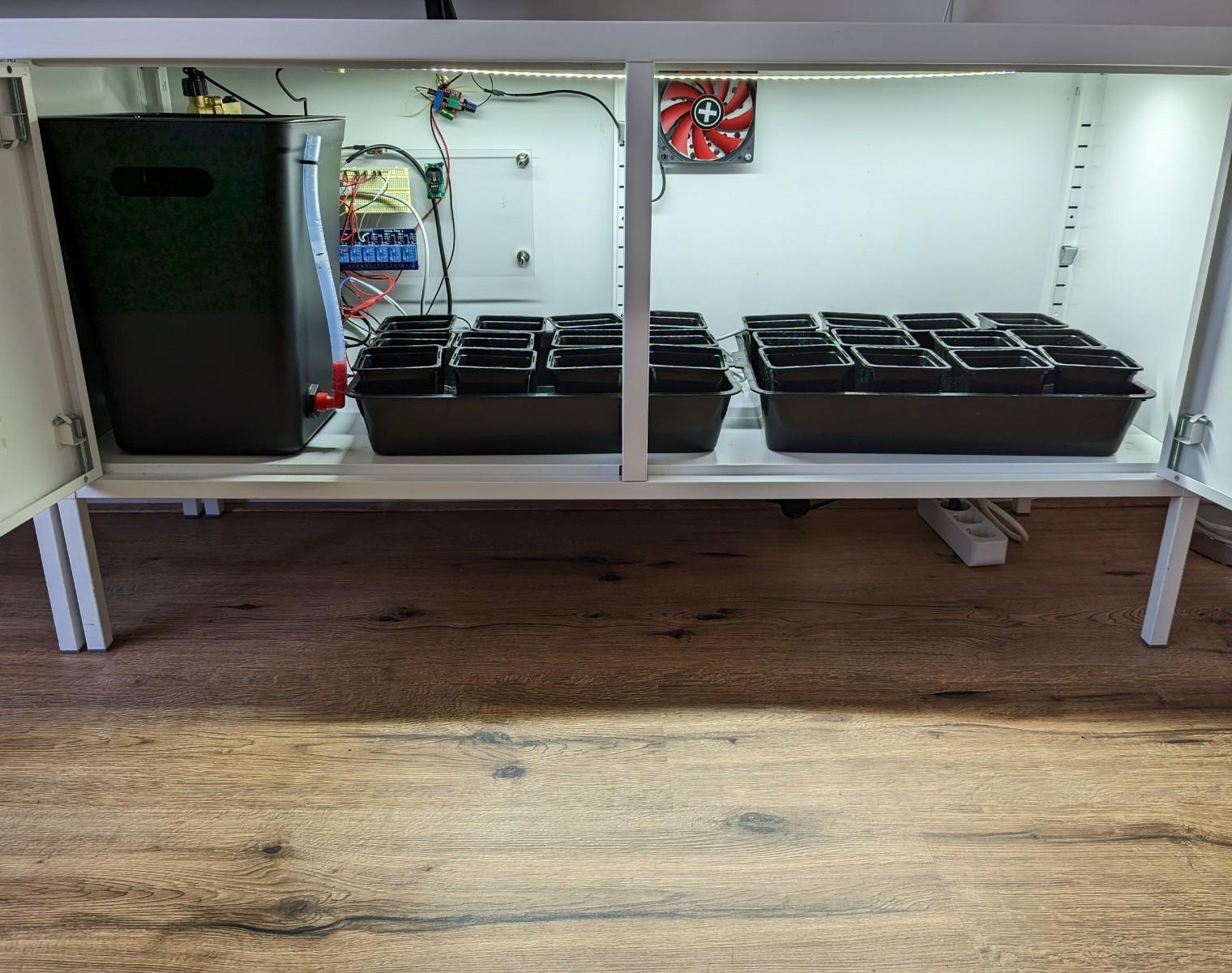Hydroponic Growing in Ikea PS Locker With Automatic Flood and Drain Self-priming Syphon