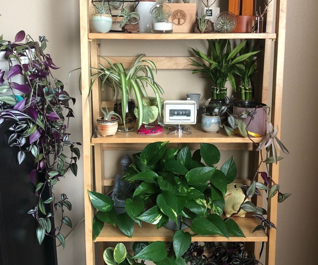 Different Ways to Reuse Candle Cups and Jars + Self Watering Plant Technique!