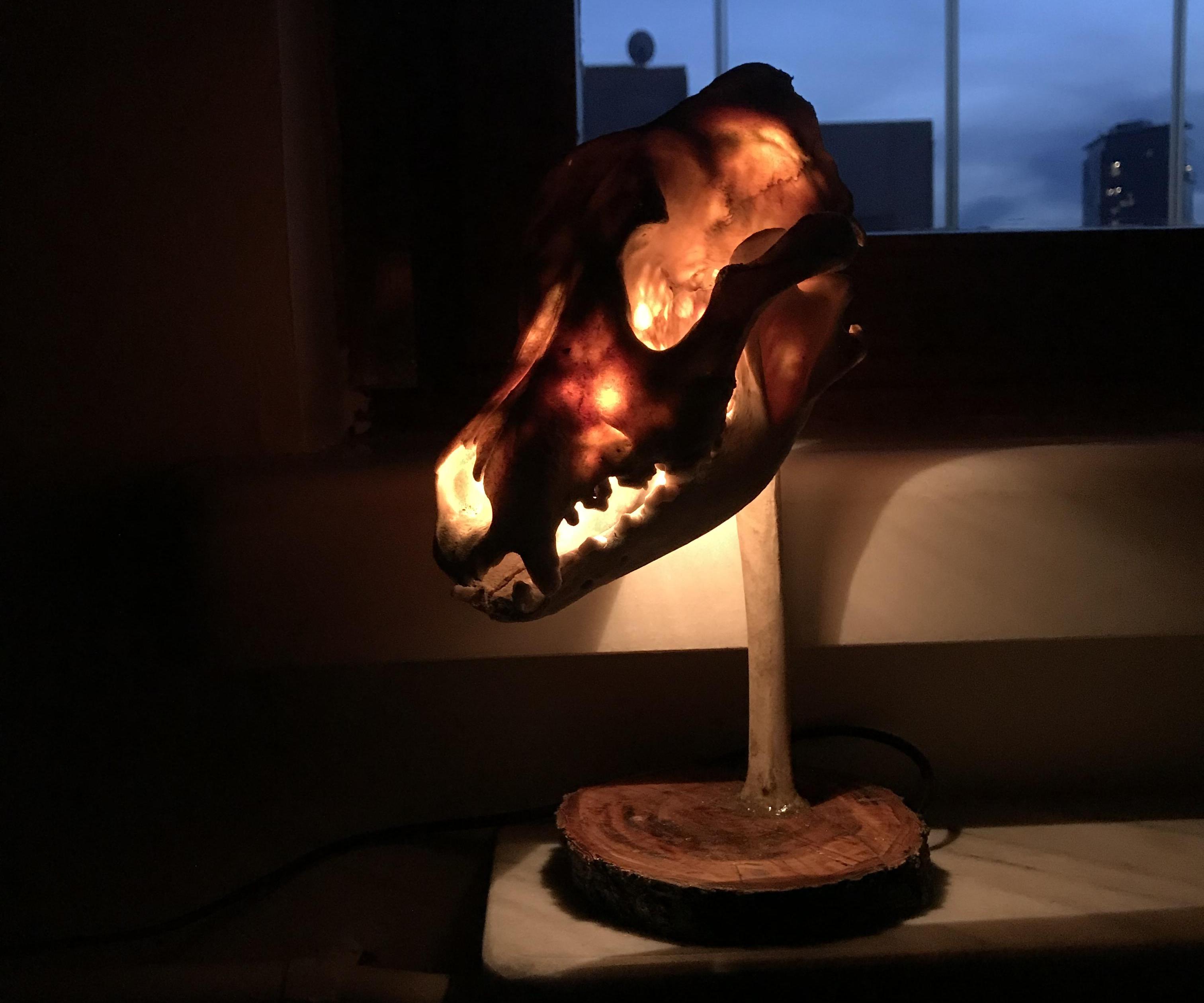 Skull Lampshade