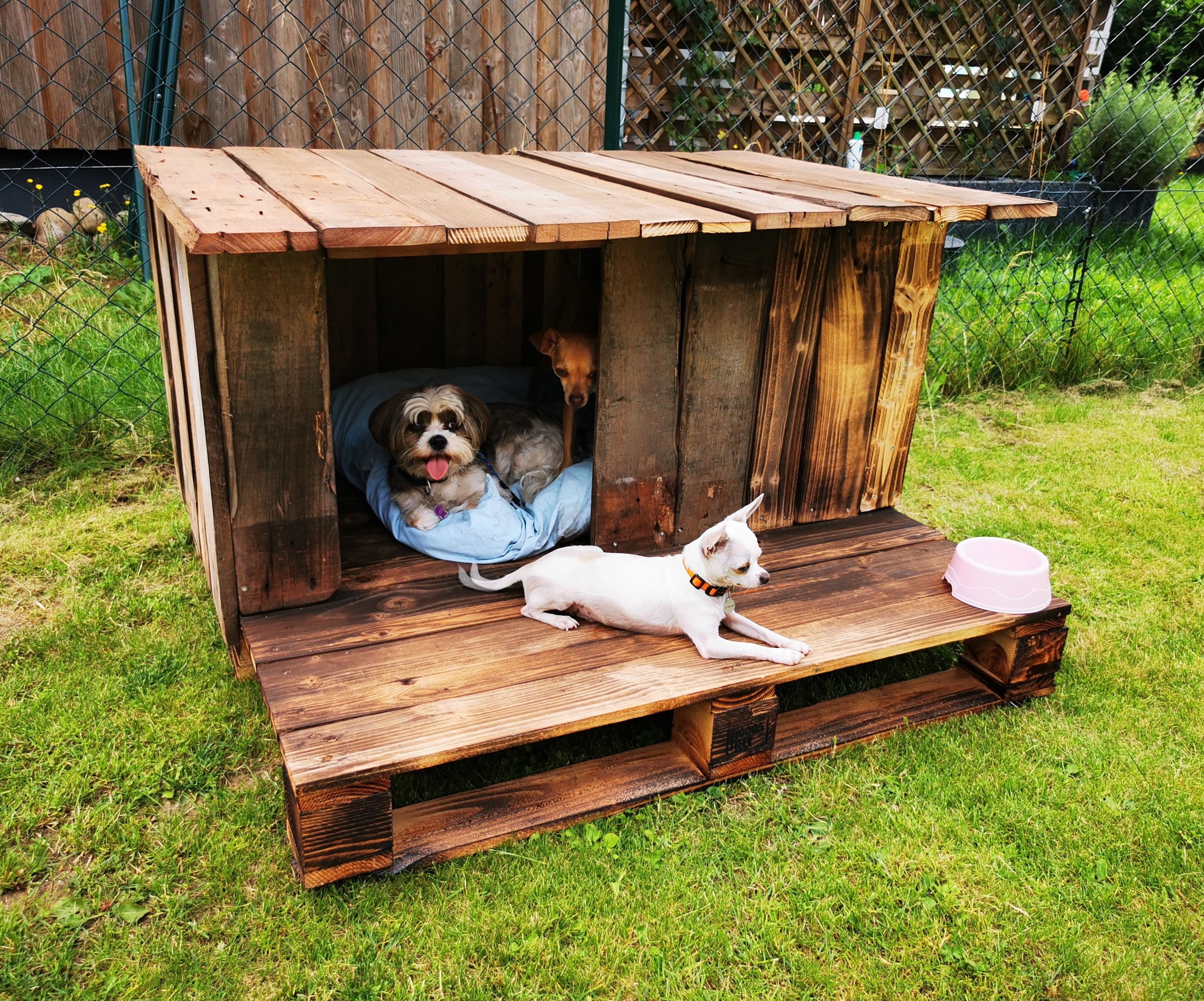 Build a Doghouse With Palletwood