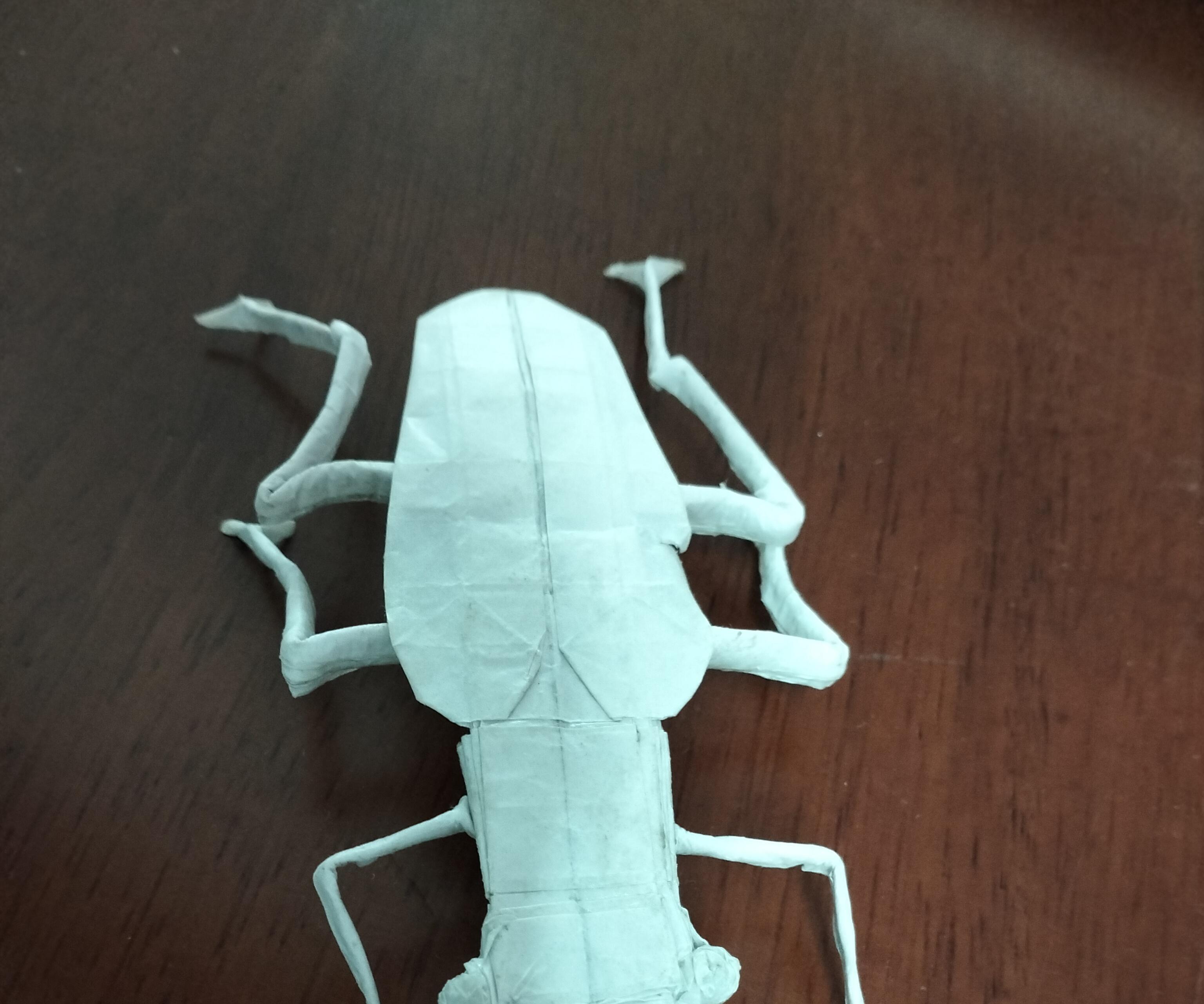 Origami Beetle